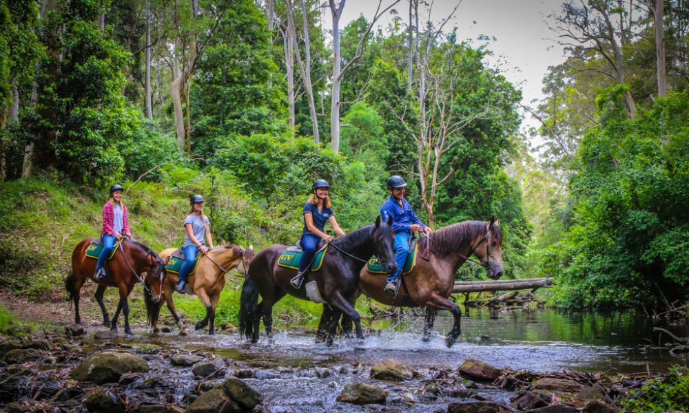 Horse Riding Adventure in Glenworth Valley - Guided or Free Range