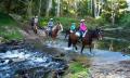 Horse Riding Adventure in Glenworth Valley - Guided or Free Range Thumbnail 2