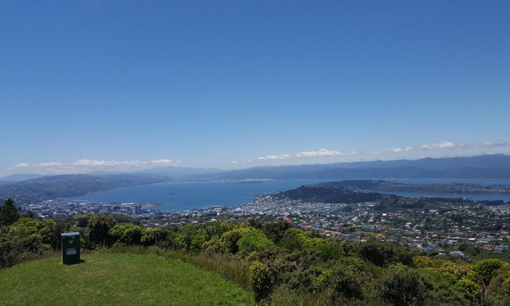 Wellington Coastal Highlights Tour with Lunch