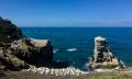 Muriwai Beach and Gannet Colony Eco Tour from Auckland Thumbnail 2