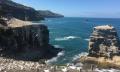 Muriwai Beach and Gannet Colony Eco Tour from Auckland Thumbnail 5