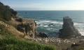 Muriwai Beach and Gannet Colony Eco Tour from Auckland Thumbnail 6