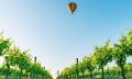 Mudgee Sunrise Hot Air Balloon Flight with Breakfast Thumbnail 1