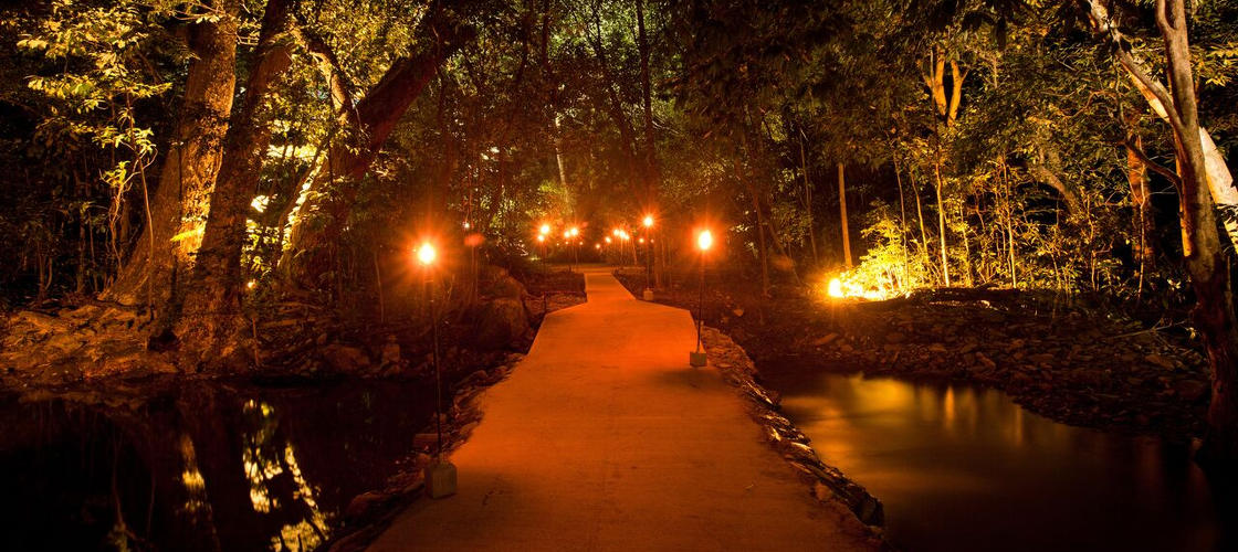 Flames of the Forest Aboriginal Cultural Dining Experience