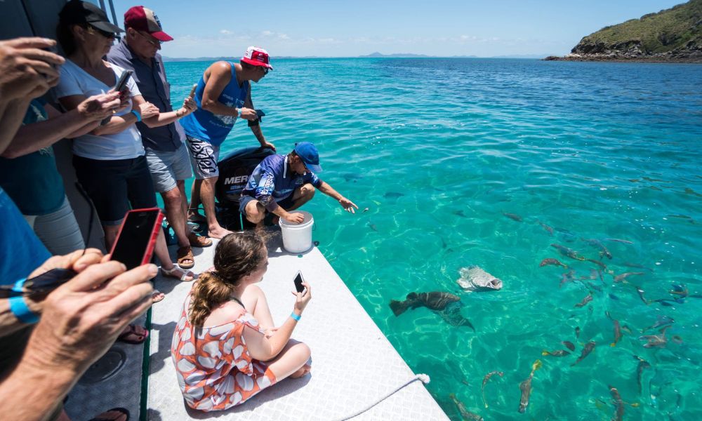 Great Keppel Island Glass Bottom Boat Tour with Transfers
