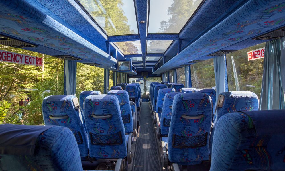 Pure Milford Coach Full Day Tour Ex Te Anau
