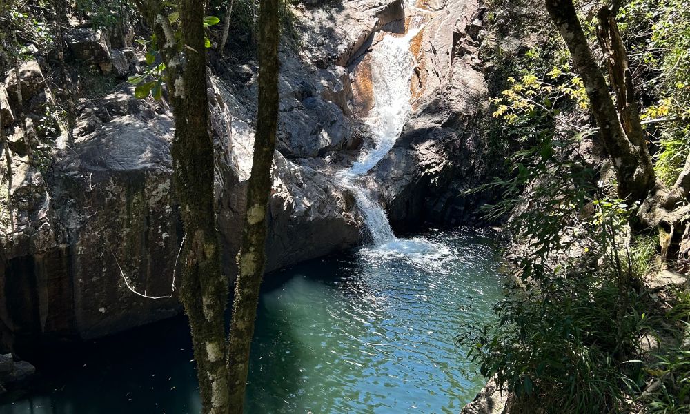 Platypus and Waterfalls