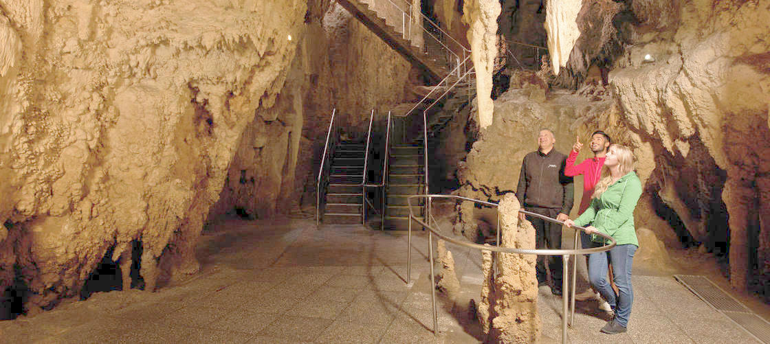 Waitomo Glowworm Caves Guided Tours