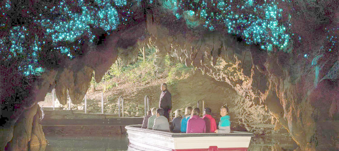 Waitomo Glowworm Caves and Ruakuri Cave Combos