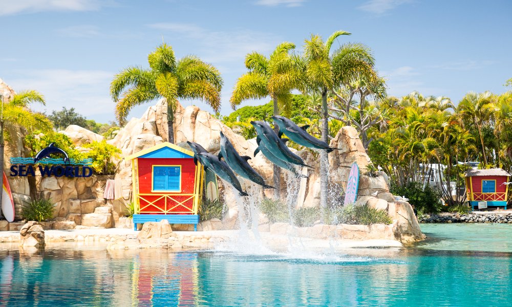 Arro Jet Boat ride with Sea World entry