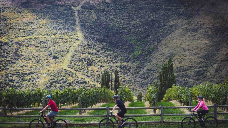 3/4 Day Queenstown Wineries Self Guided Bike Tour 