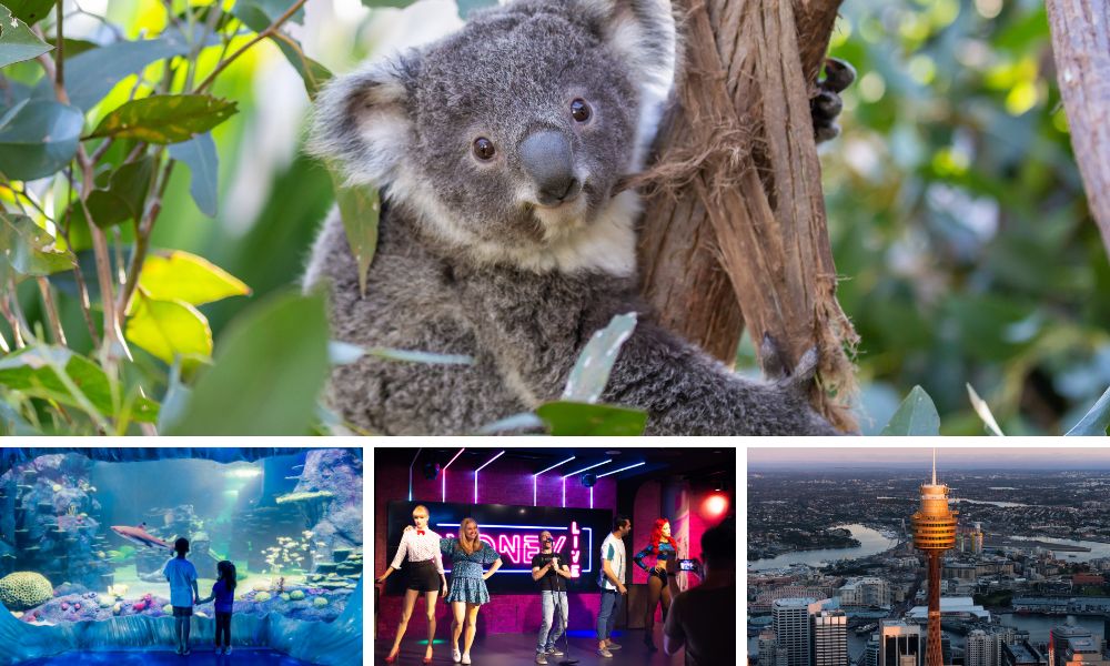 Midweek Madness - 4 Attractions for the price of 3