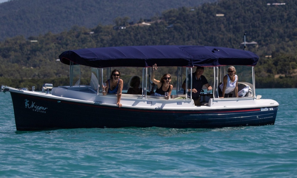 Airlie Beach Turtle Spotting Cruise - 1 Hour 