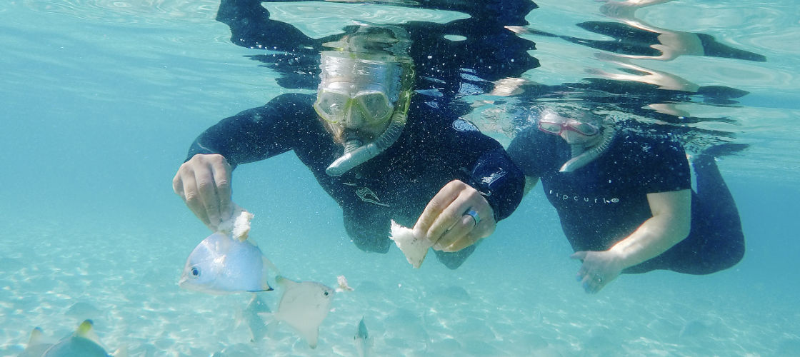 Gold Coast Half Day Snorkel and Kayak Tour Experience Oz