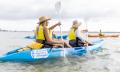 Gold Coast Morning Dolphin Kayaking and Snorkeling Tour Thumbnail 3