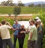 Yarra Valley Tours