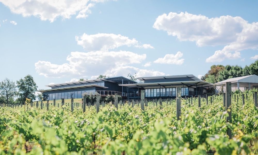 Yarra Valley Winery Tour with Lunch