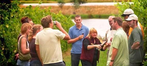 Yarra Valley Winery Tour with Lunch