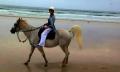 Horse Riding Byron Bay Beach Ride Thumbnail 4