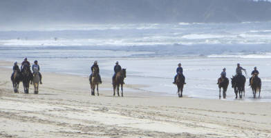 Horse Riding Byron Bay Beach Ride 946 Friday Hut Rd Byron Bay NSW 2479