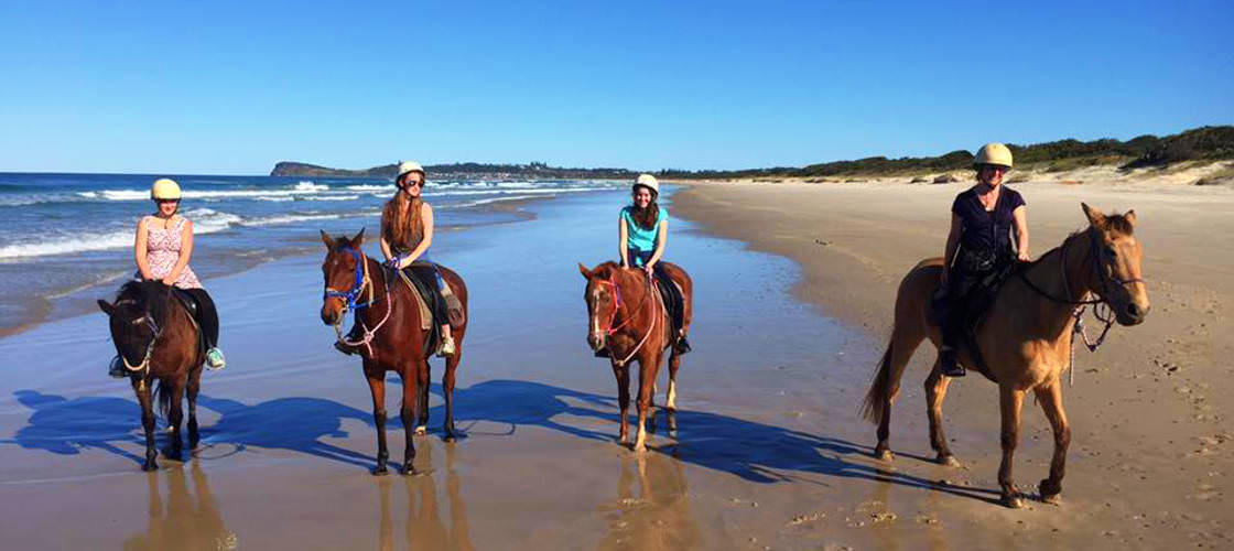 Horse Riding Byron Bay Trail Ride