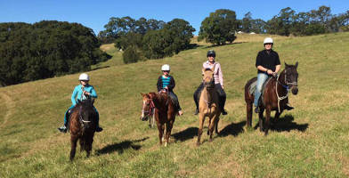 Horse Riding Byron Bay Trail Ride 946 Friday Hut Rd Byron Bay NSW 2479