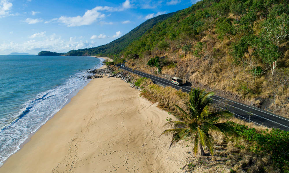 Daintree Rainforest & Cape Tribulation Small Group Tour