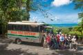 1 Day Daintree Rainforest, Cape Tribulation and Bloomfield Track Tour Thumbnail 4