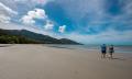 1 Day Daintree Rainforest, Cape Tribulation and Bloomfield Track Tour Thumbnail 6