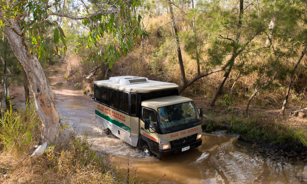 Chillagoe & Outback 4WD Day Tour From Cairns