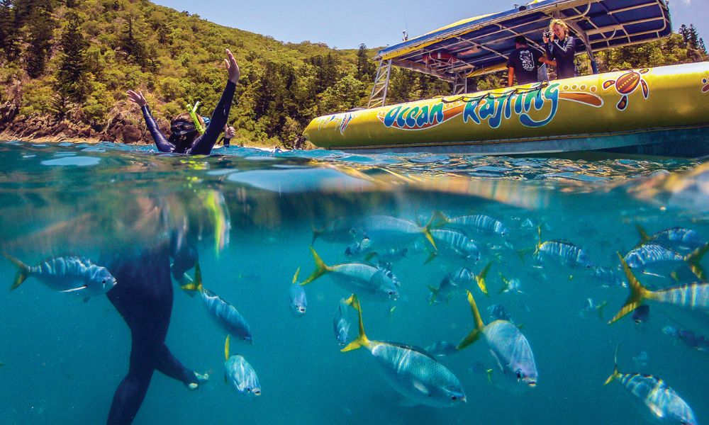 Whitehaven Beach Southern Lights Tour