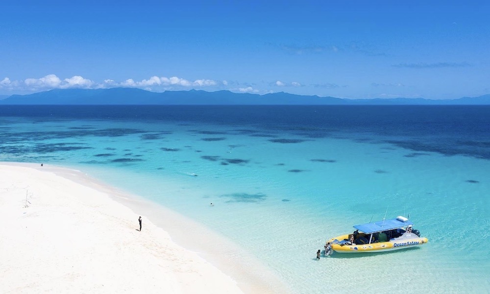 Great Barrier Reef Snorkel Trip from Cape Tribulation