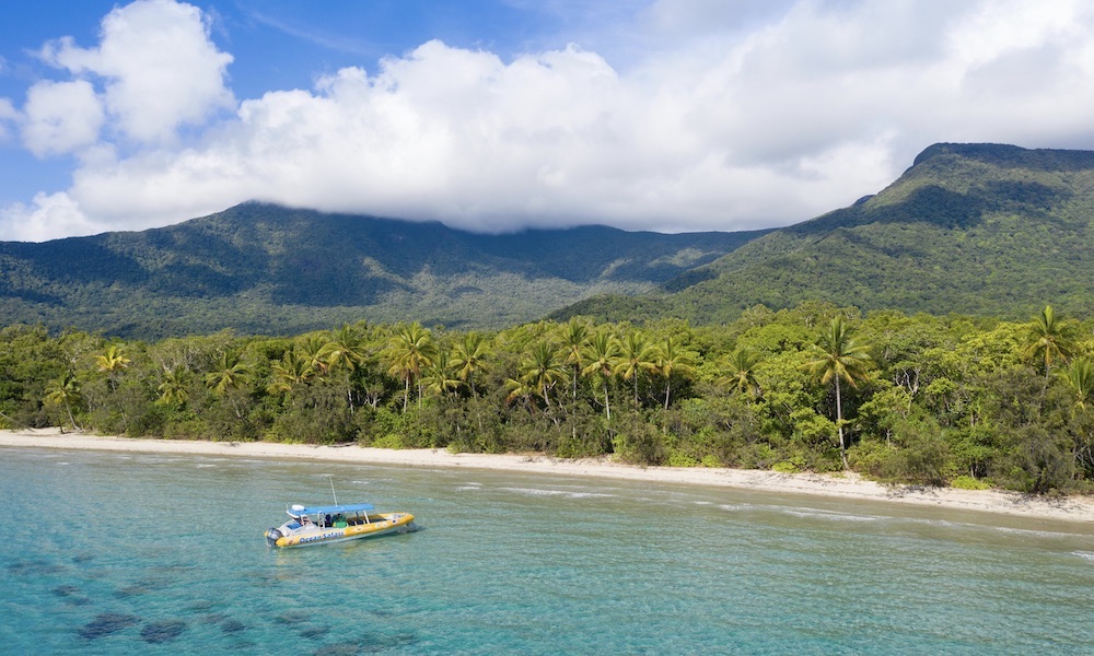 Great Barrier Reef Snorkel Trip from Cape Tribulation