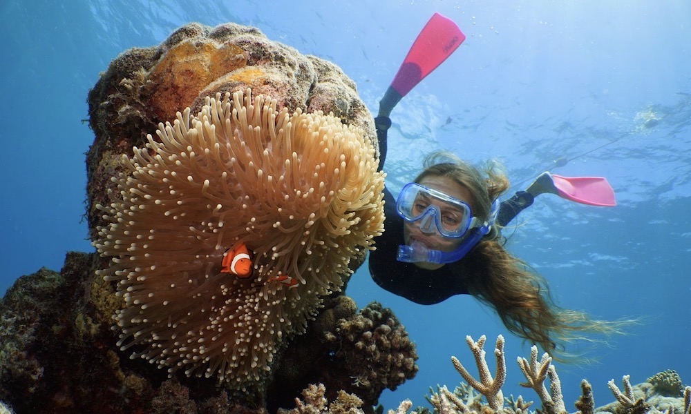 Great Barrier Reef Cruise to Quicksilver Port Douglas Pontoon
