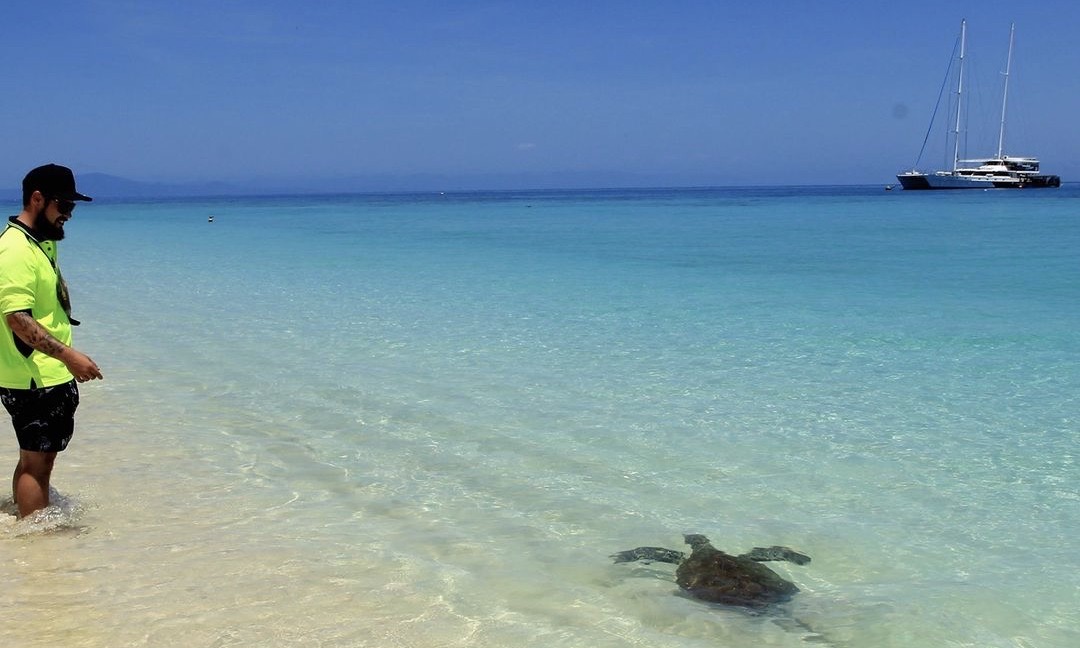 Port Douglas to Low Isles Full Day Sailing Cruise