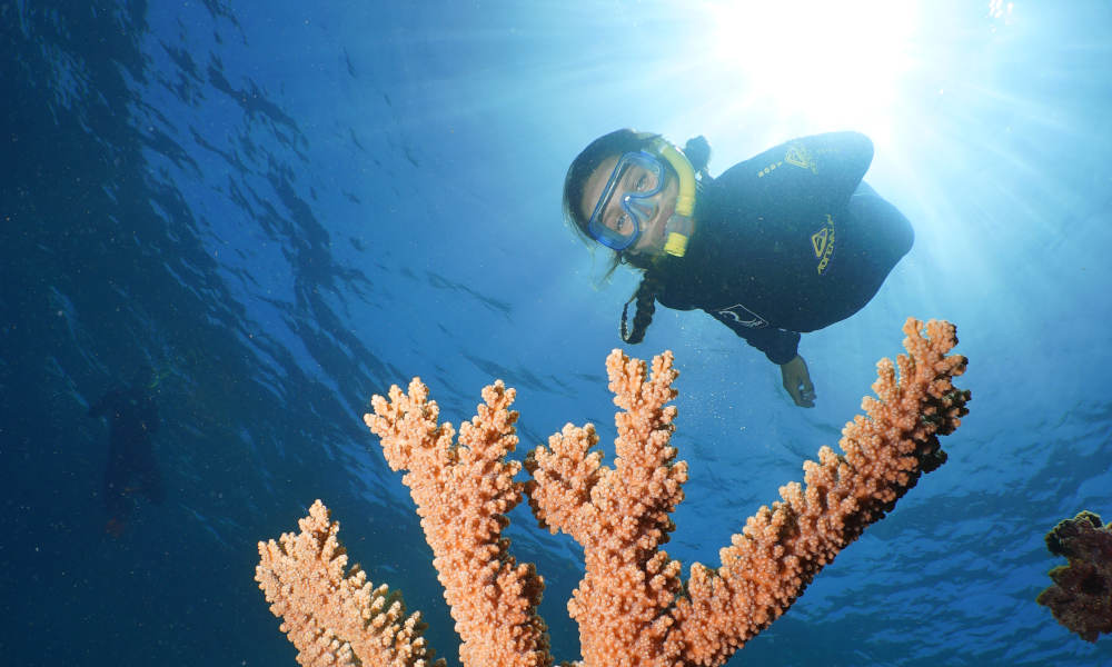 Port Douglas Premium Great Barrier Reef Cruise to 3 Reef Locations