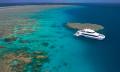 Port Douglas Premium Great Barrier Reef Cruise to 3 Reef Locations Thumbnail 6