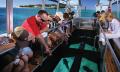 Green Island Full Day Trip + Snorkelling &amp; Glass Bottom Boat Thumbnail 6