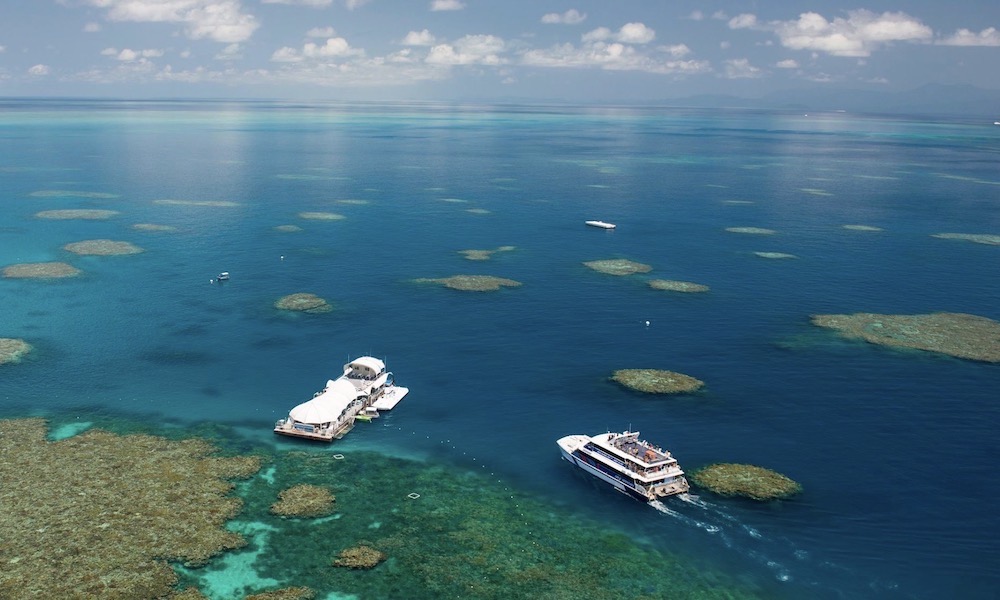 Great Barrier Reef Cruise to Great Adventures Pontoon Reef Fleet Terminal 1 Spence St Cairns Qld 4870