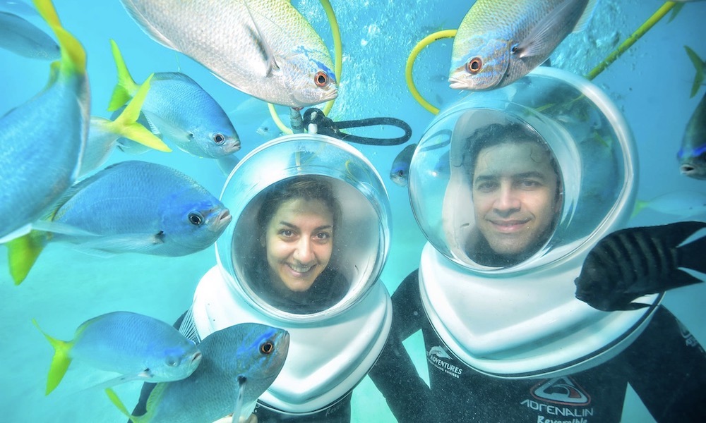 Great Barrier Reef Cruise to Great Adventures Pontoon