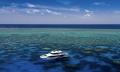 Premium Great Barrier Reef Cruise to 3 Reef Locations Thumbnail 1