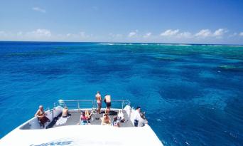 Premium Great Barrier Reef Cruise to 3 Reef Locations Thumbnail 6