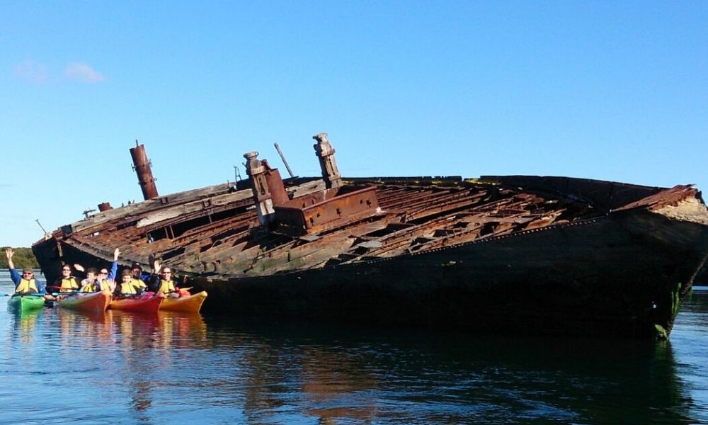 Adelaide Dolphin Kayaking Tour