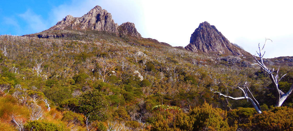 Cradle Mountain Day Tour from Burnie or Devonport