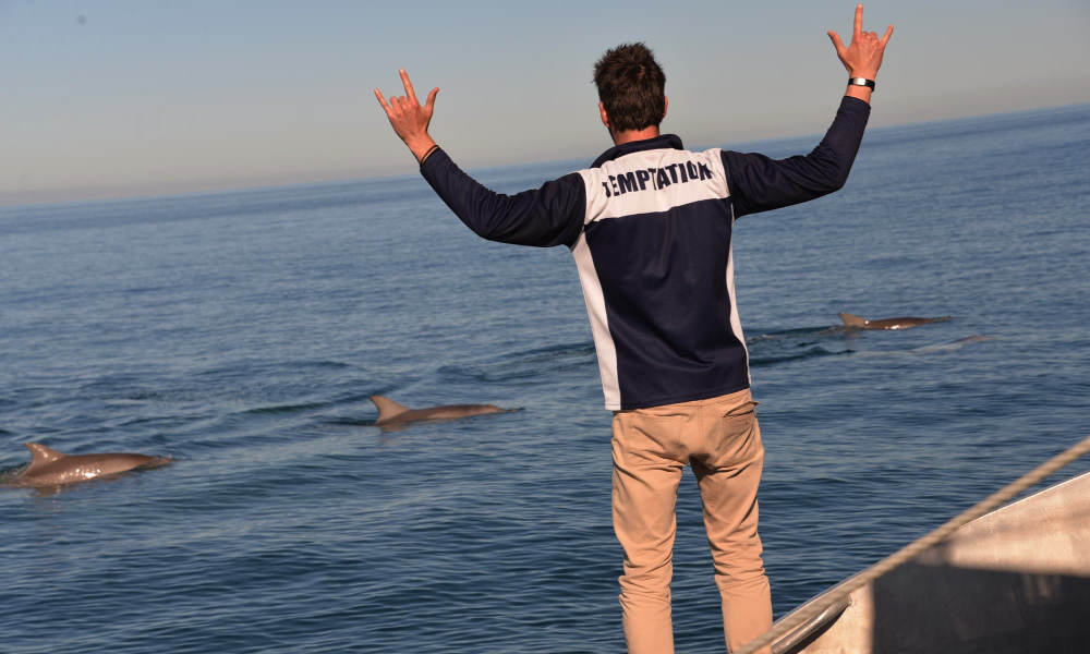 Adelaide Dolphin Watching Cruise