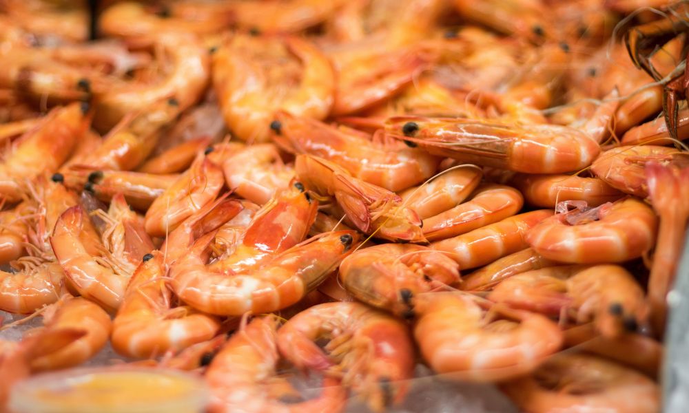 Mooloolaba Seafood Lunch Cruise