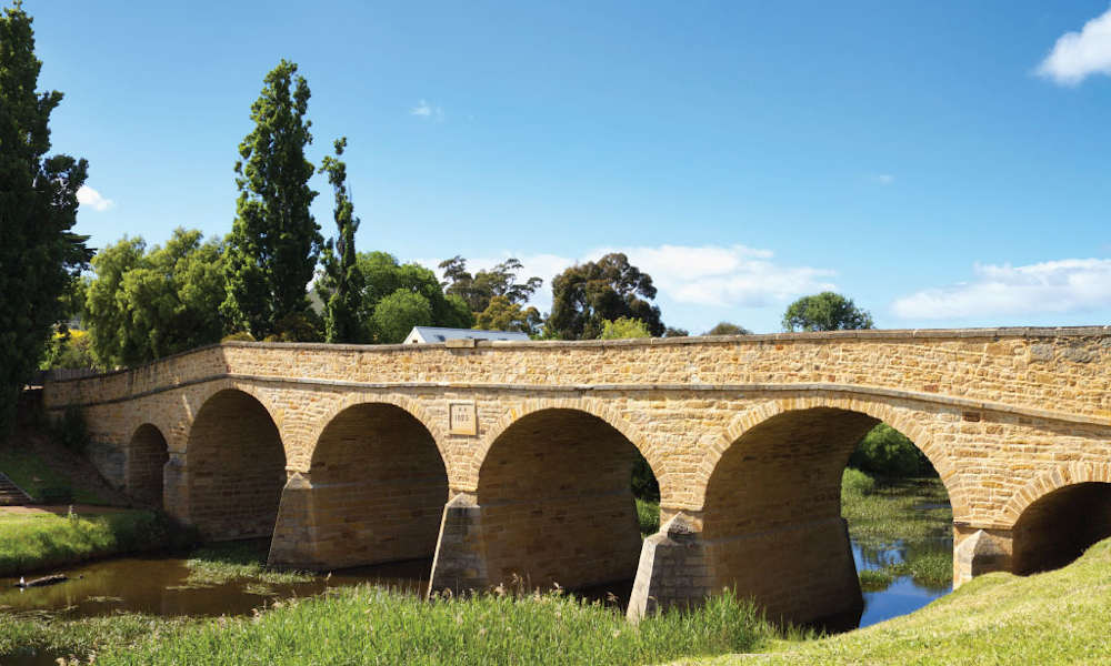 Bonorong Wildlife Park and Richmond Tour from Hobart