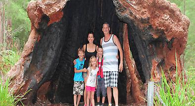 Valley of the Giants and Tree Top Walk Day Tour from Perth