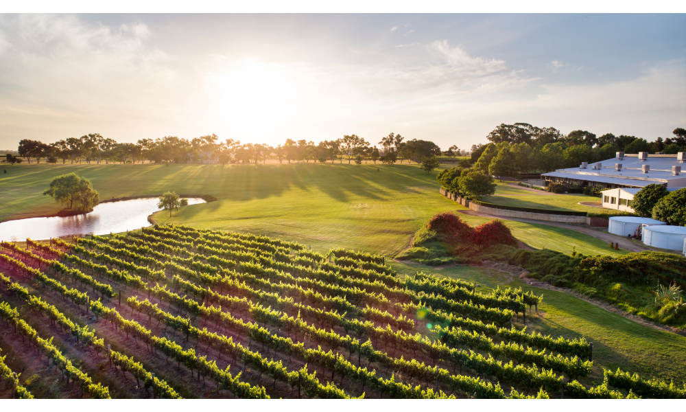 Swan Valley Wine Tasting Cruise including Lunch