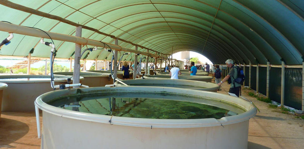 Cape Leveque 4WD Day Tour